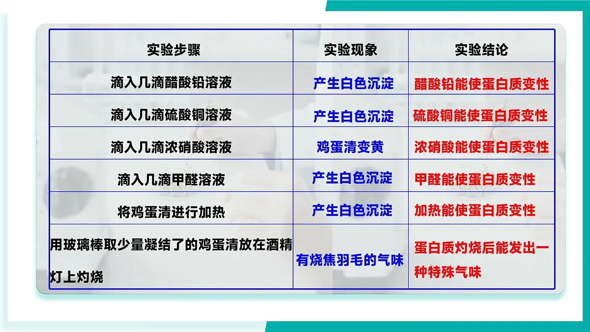 第三节 远离有毒物质（同步课件）-2024-2025学年九年级化学下册（鲁教版2024）第8页