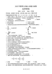 湖南省长沙市北雅中学2024-2025学年九年级下学期入学考试化学试卷