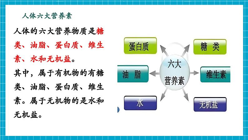 第一节 食物中的有机物（同步课件）第6页