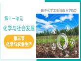 11.3 化學與農(nóng)業(yè)生產(chǎn)（同步課件）-2024-2025學年九年級化學下冊（魯教版2024）