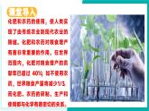 11.3 化學與農(nóng)業(yè)生產(chǎn)（同步課件）-2024-2025學年九年級化學下冊（魯教版2024）