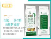 11.3 化學與農(nóng)業(yè)生產(chǎn)（同步課件）-2024-2025學年九年級化學下冊（魯教版2024）