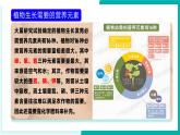 11.3 化學與農(nóng)業(yè)生產(chǎn)（同步課件）-2024-2025學年九年級化學下冊（魯教版2024）