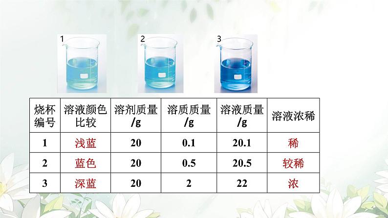 课题3 溶质的质量分数 课件第5页