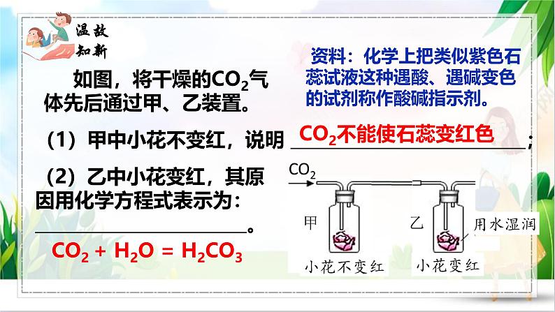 课题1 溶液的酸碱性 课件第2页