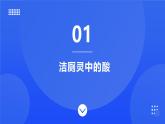 【新教材】魯教版化學九年級下冊第七單元第一節(jié)《酸的性質(zhì)》課件+練習及答案