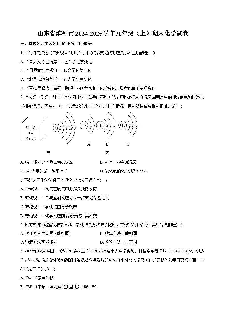 山东省滨州市2024-2025学年九年级（上）期末化学试卷第1页
