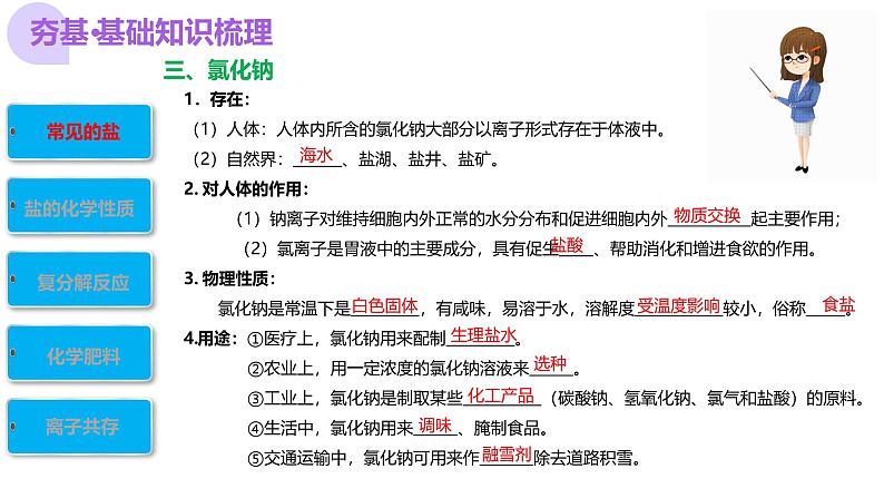 中考化学一轮复习讲练测课件专题08 盐+化肥第8页