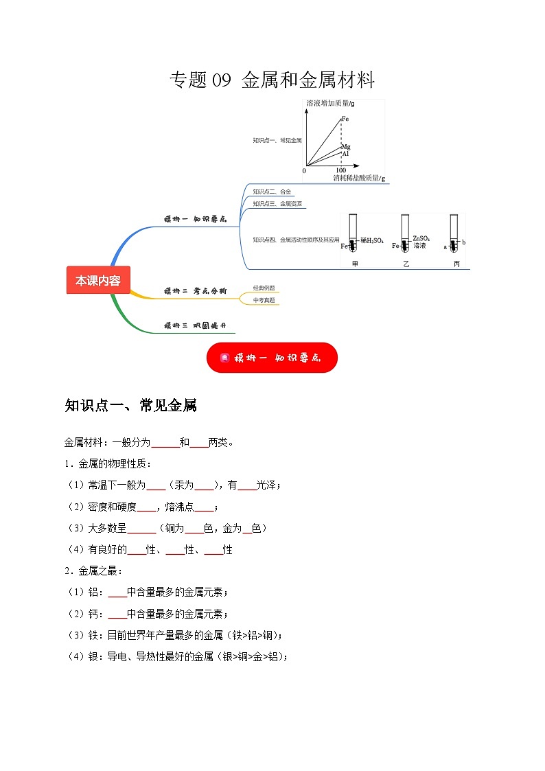 中考化学一轮复习考点过关练习专题09 金属和金属材料（原卷版）第1页