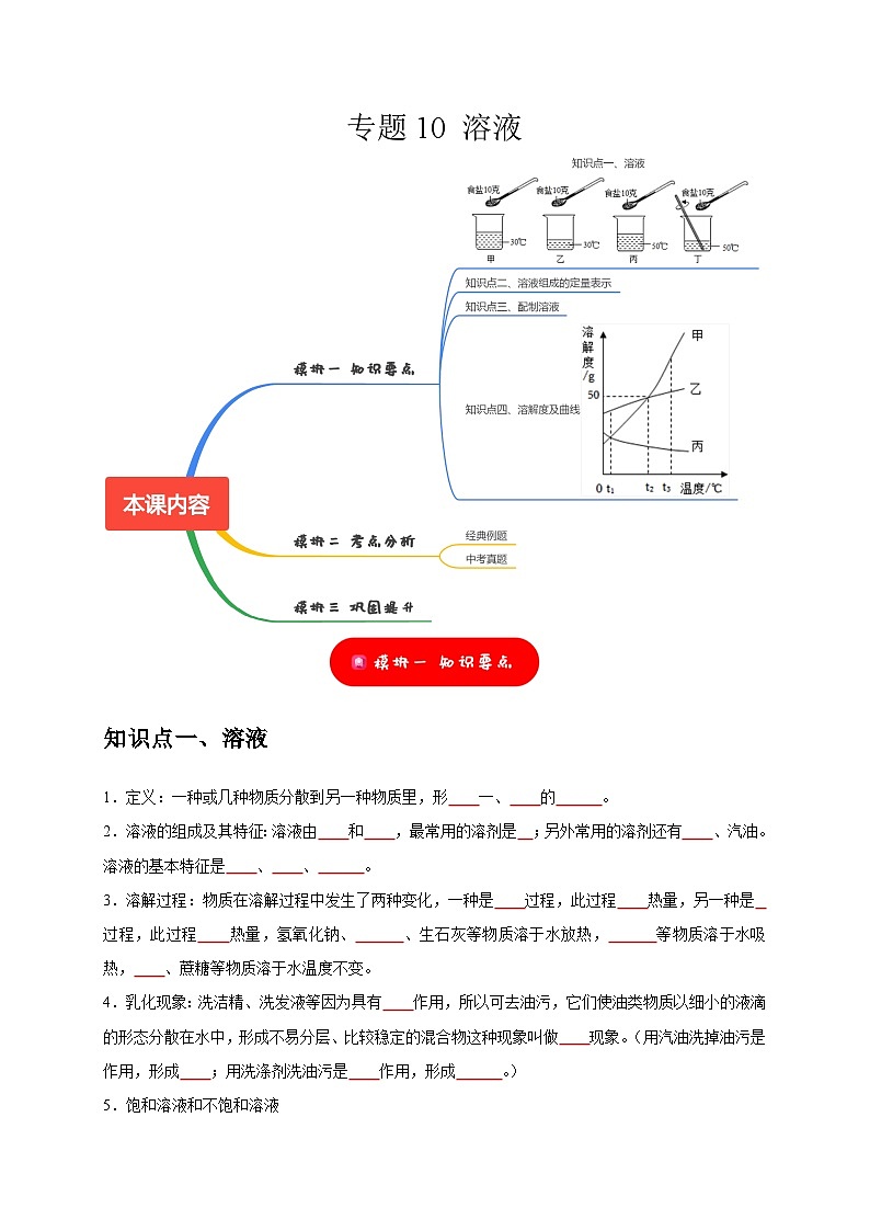 中考化学一轮复习考点过关练习专题10 溶液（原卷版）第1页