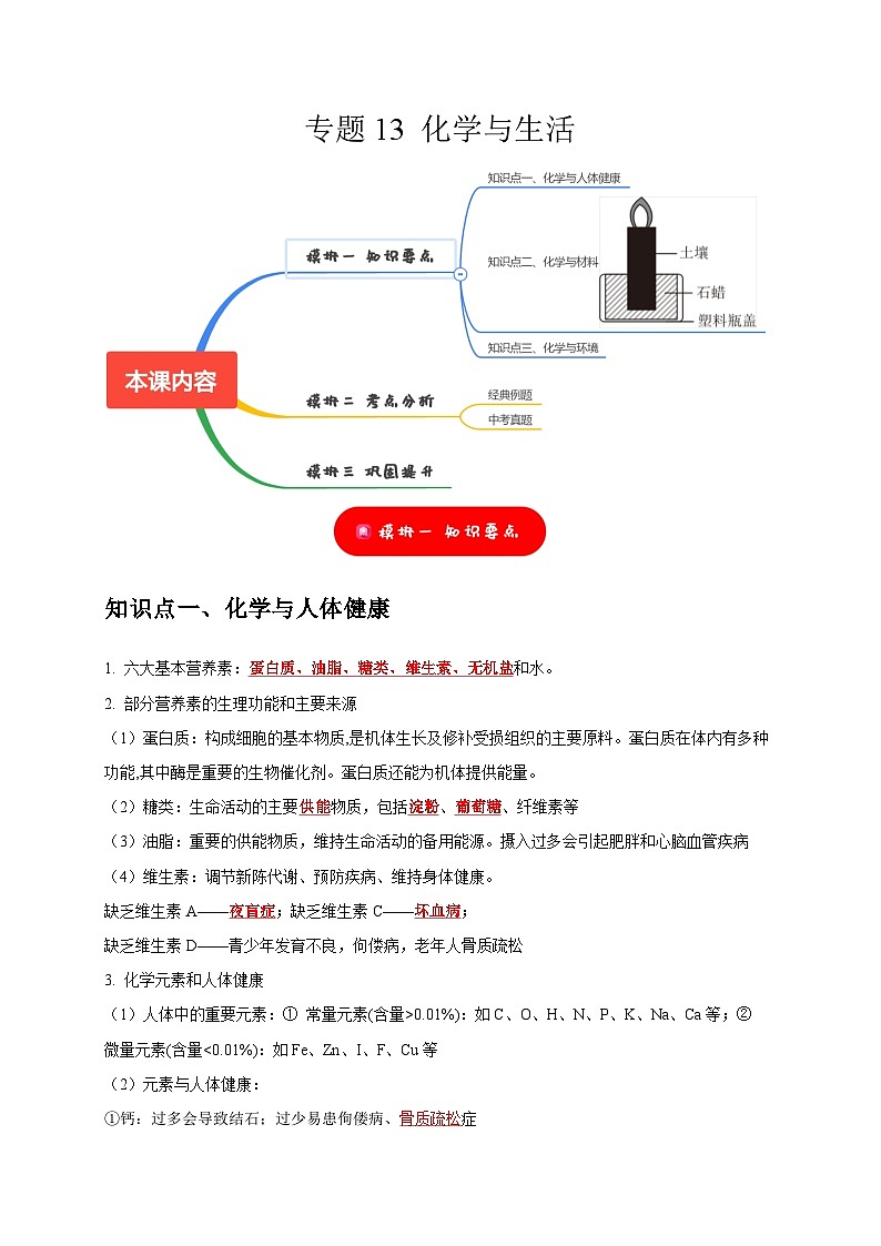 中考化学一轮复习考点过关练习专题13 化学与生活（解析版）第1页