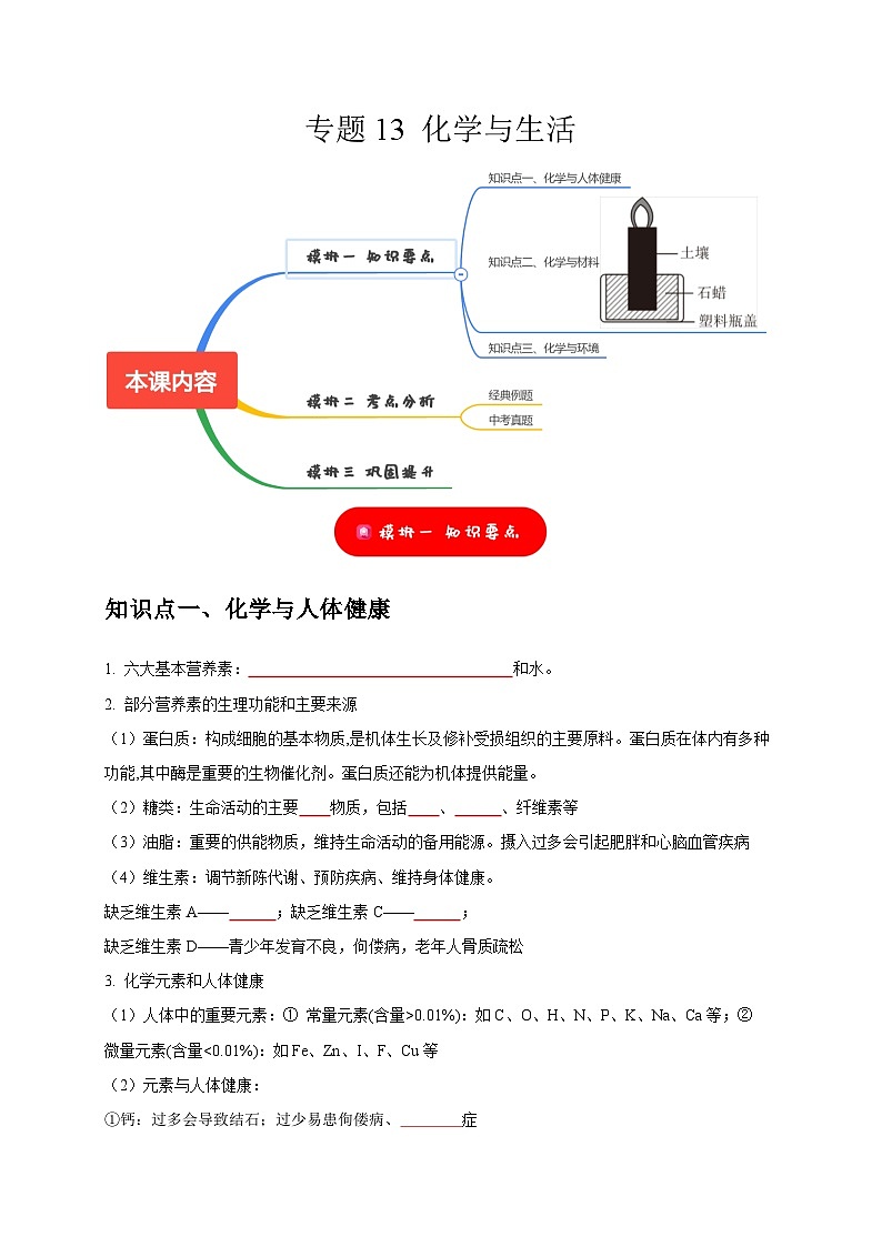 中考化学一轮复习考点过关练习专题13 化学与生活（原卷版）第1页