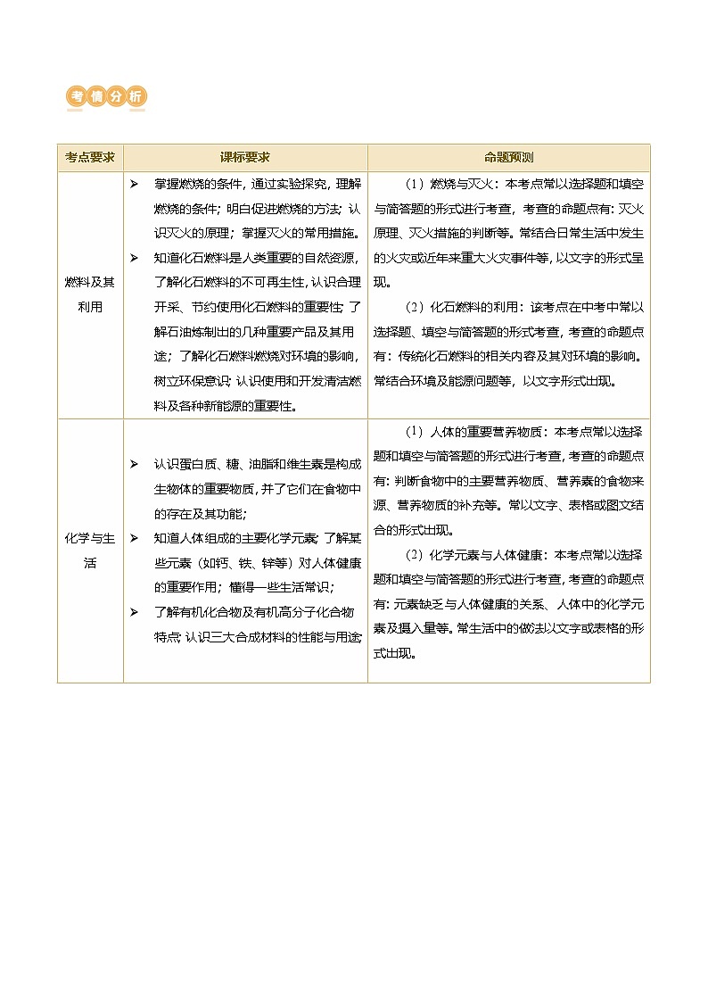 中考化学二轮复习讲练测专题04 化学与社会发展（讲练）（解析版）第2页