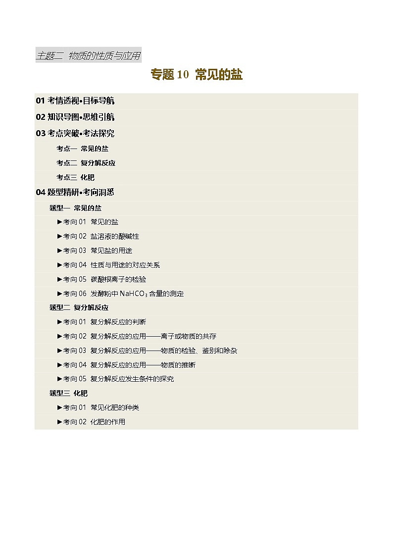 2025年中考化学一轮复习 专题10 常见的盐（讲义）（原卷版）第1页
