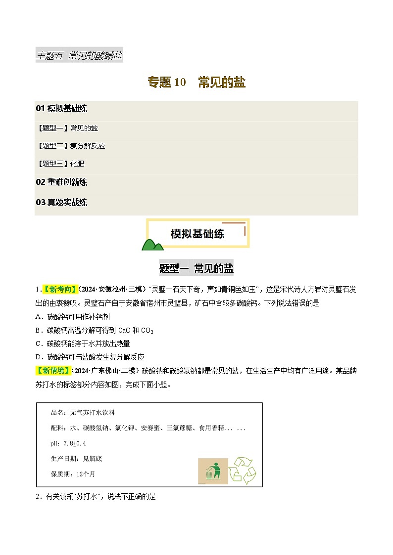 2025年中考化学一轮复习 专题10 常见的盐（练习）（原卷版）第1页