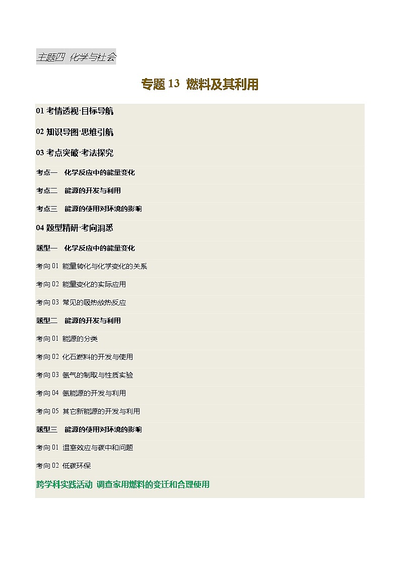 2025年中考化学一轮复习 专题13 燃料及其利用（讲义）（原卷版）第1页