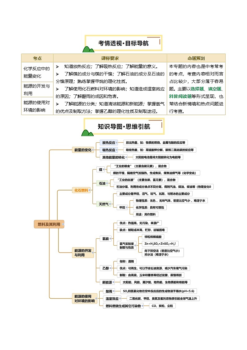 2025年中考化学一轮复习 专题13 燃料及其利用（讲义）（解析版）第2页