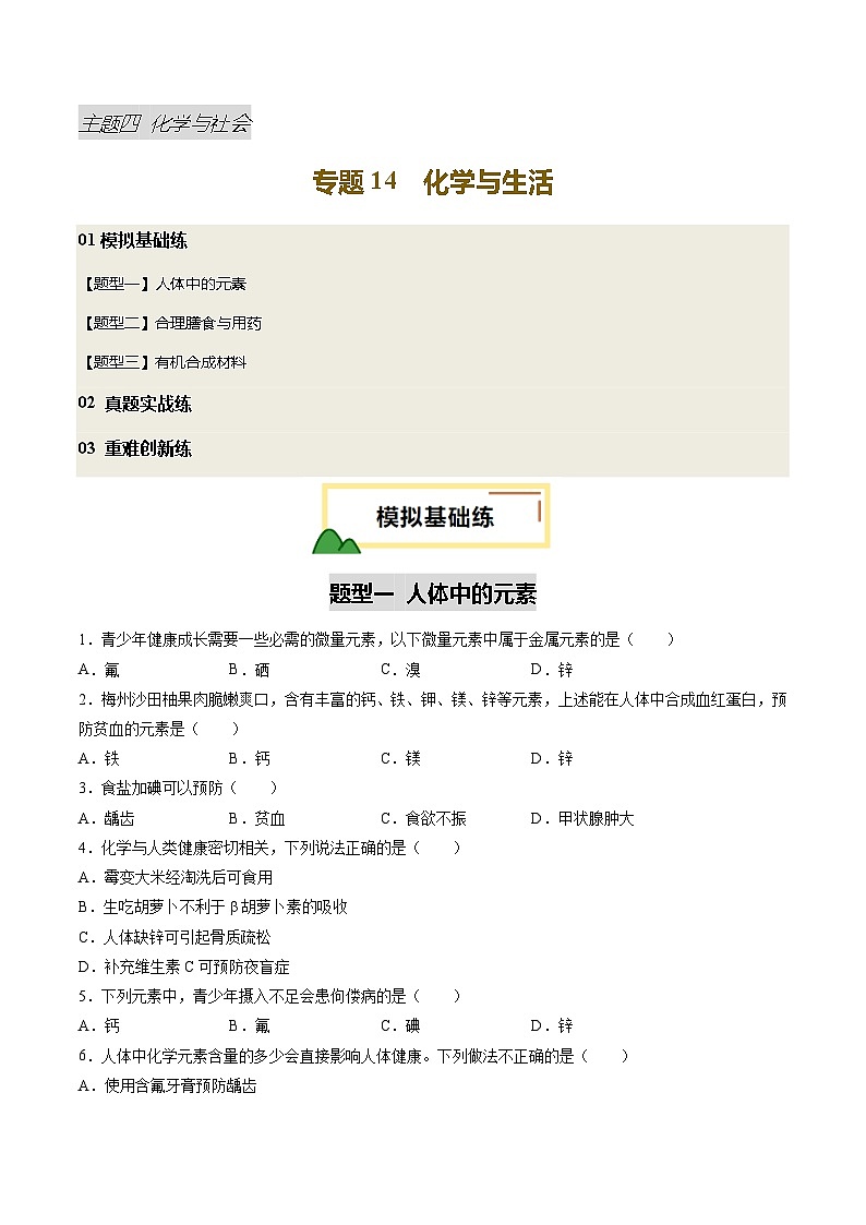 2025年中考化学一轮复习 专题14 化学与生活（练习）（原卷版）第1页