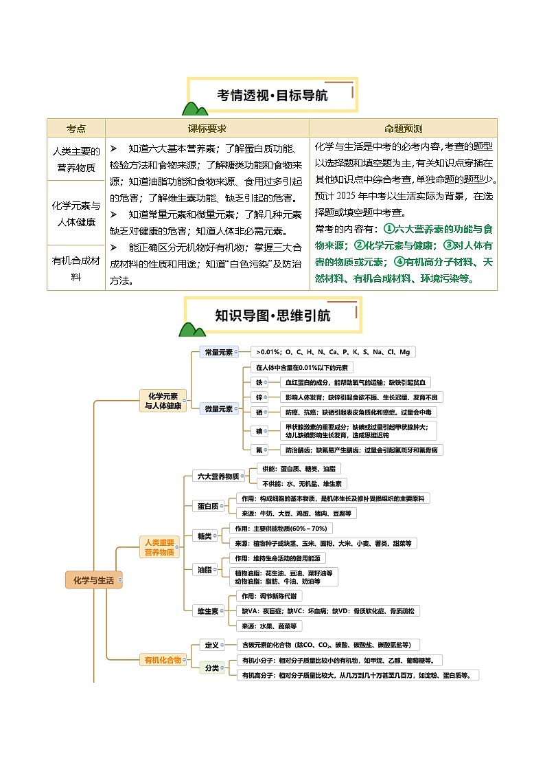 2025年中考化学一轮复习 专题14 化学与生活（讲义）（原卷版）第2页
