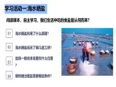 【新教材】魯教版化學(xué)九年級下冊第八單元第二節(jié)第一課時《海水曬鹽》課件+練習(xí)