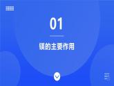 【新教材】魯教版化學(xué)九年級下冊第八單元第二節(jié)第四課時《海水提鎂》課件+練習(xí)及答案