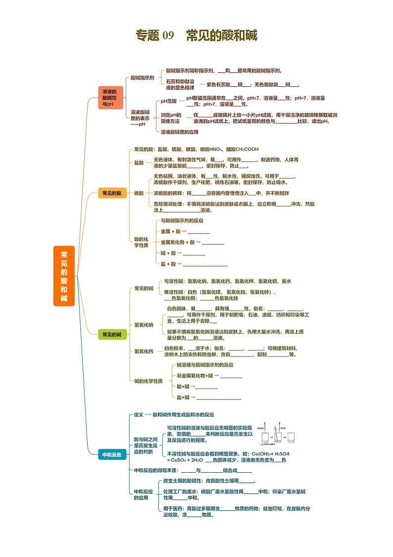 2025年中考化学一轮复习  专题09 常见的酸和碱（讲义）第1页
