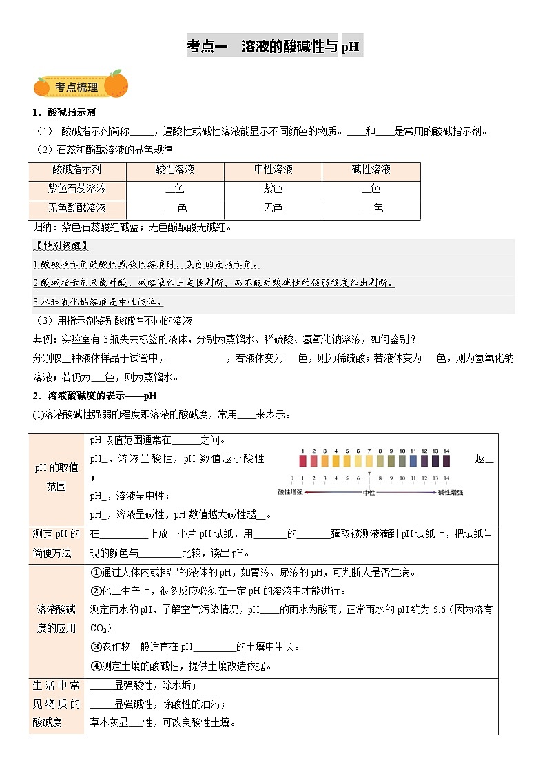 2025年中考化学一轮复习  专题09 常见的酸和碱（讲义）第2页