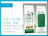 【新教材新課標(biāo)】魯教版化學(xué)九年級(jí)下冊(cè)第11單元第3節(jié) 化學(xué)與農(nóng)業(yè)生產(chǎn)（課件+分層練習(xí)）