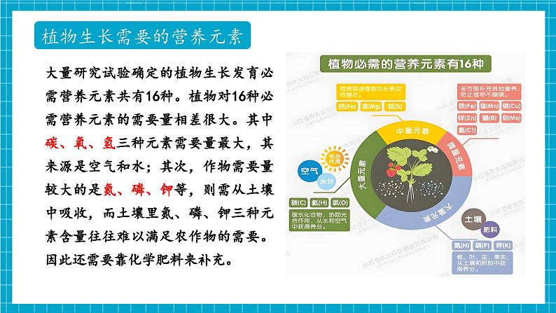 第三节 化学与农业生产（同步课件）第5页