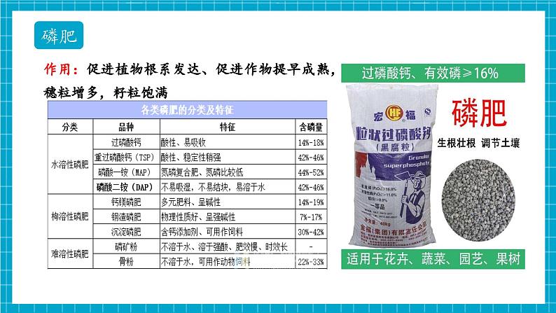 第三节 化学与农业生产（同步课件）第8页