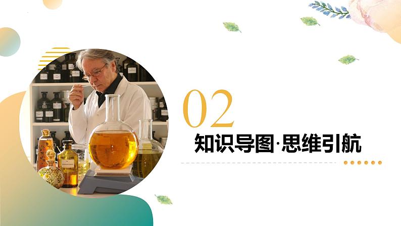 专题03 质量守恒定律 化学方程式（课件）-2025中考化学一轮复习讲义+课件第7页