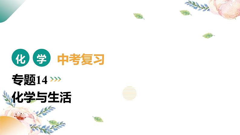 专题14 化学与生活（课件）-2025中考化学一轮复习讲义+课件第1页