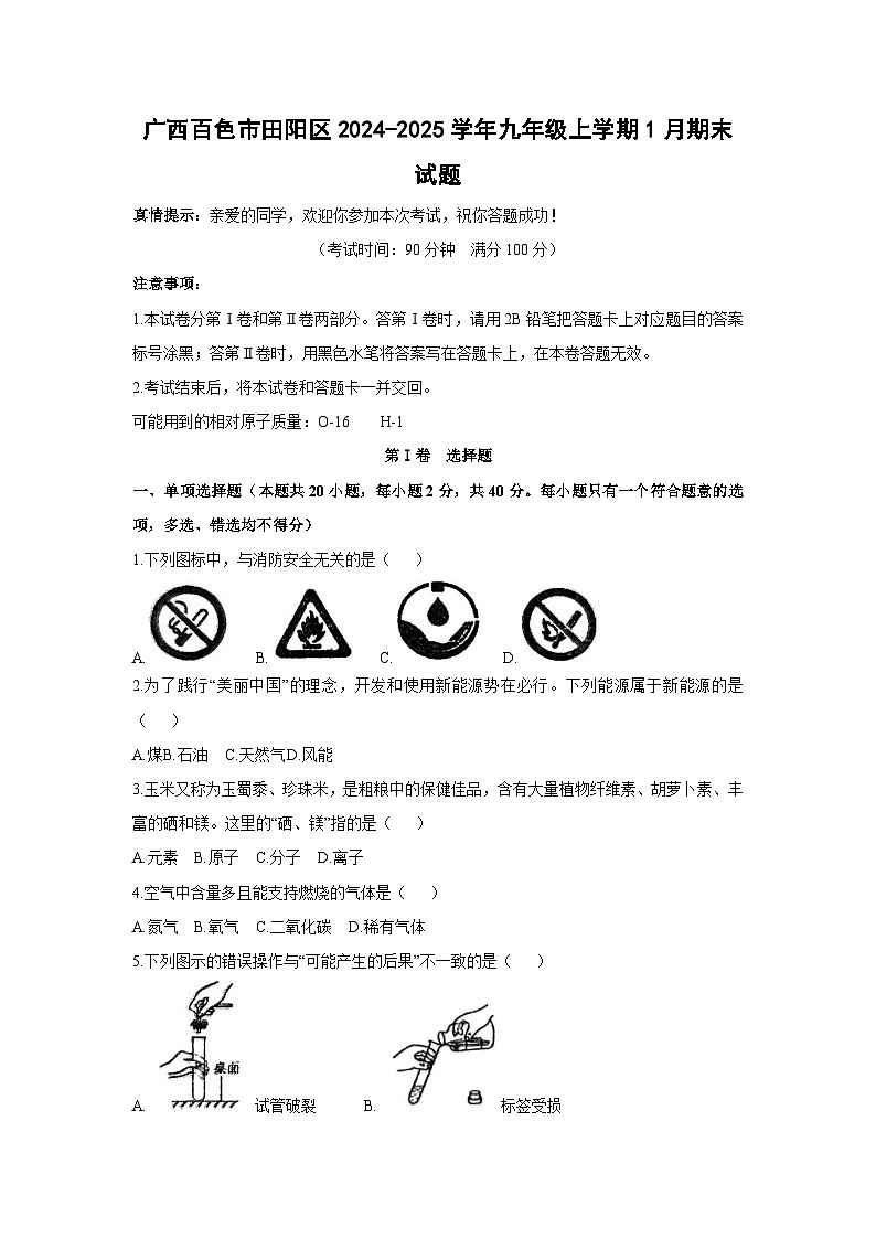 广西百色市田阳区2024-2025学年九年级(上)1月期末化学试卷第1页