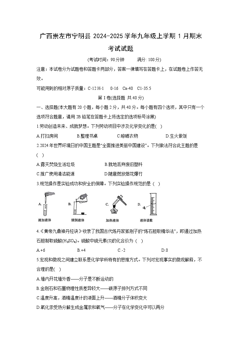 广西崇左市宁明县2024-2025学年九年级(上)1月期末考试化学试卷第1页