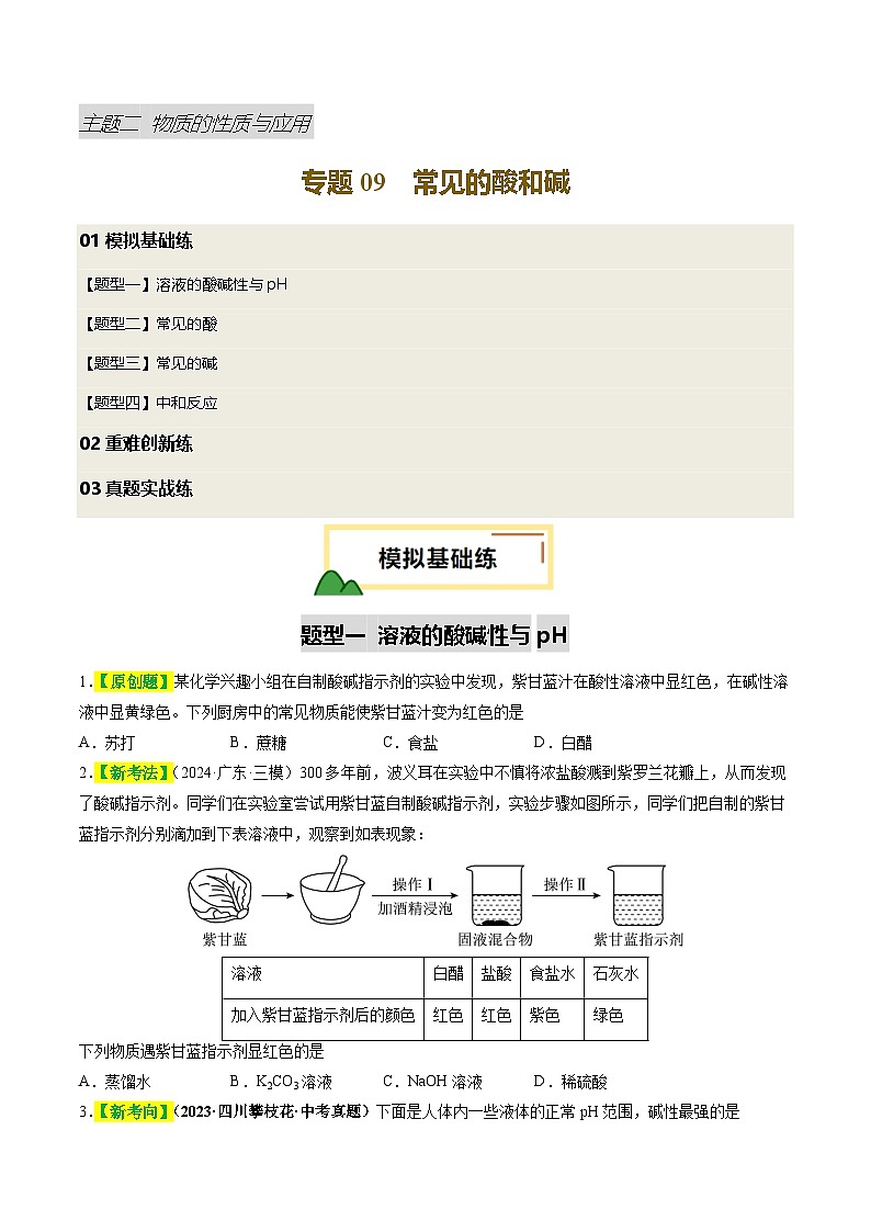 专题09 常见的酸和碱（练习）（原卷版）第1页