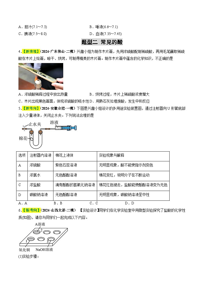 专题09 常见的酸和碱（练习）（原卷版）第2页