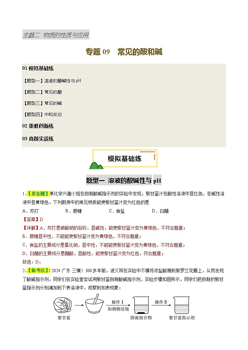 专题09 常见的酸和碱（练习）（解析版）第1页