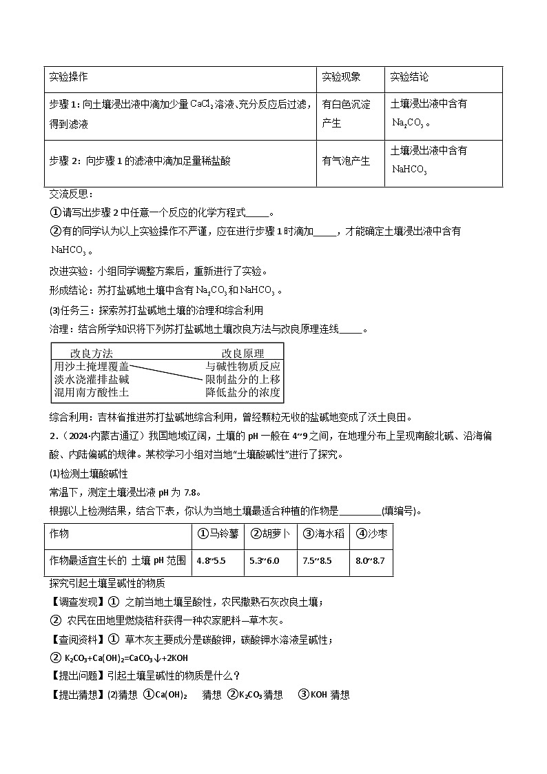 题型06 科学探究题（原卷版）第2页