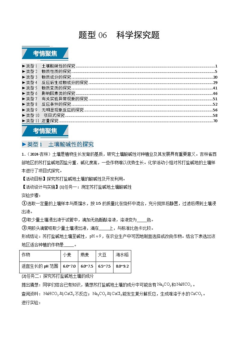 题型06 科学探究题（解析版）第1页