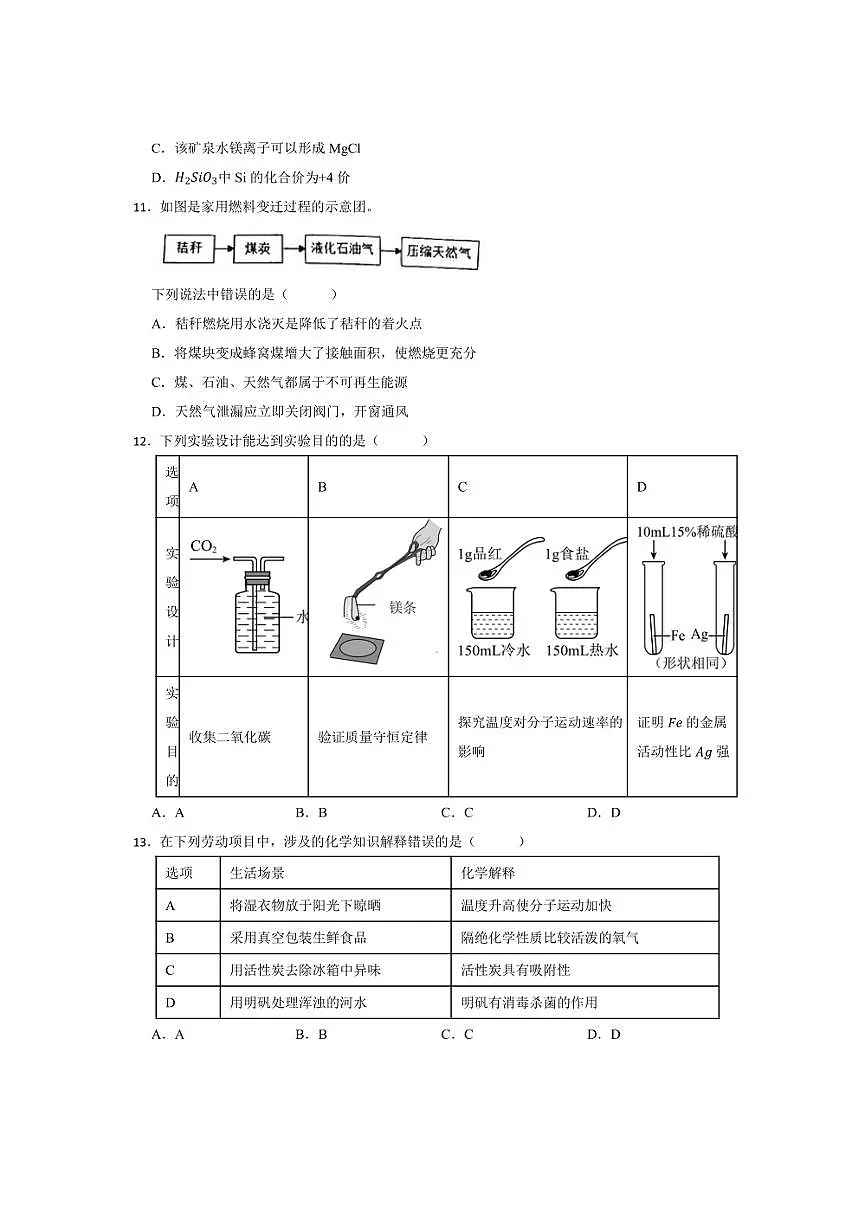 2024～2025学年广东省惠州市博罗县杨村中学九年级下开学考试化学试卷(含答案)第3页