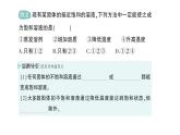 初中化學(xué)新人教版九年級(jí)下冊(cè)第九單元課題2 溶解度作業(yè)課件2025春