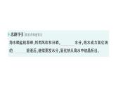 初中化學(xué)新人教版九年級(jí)下冊(cè)第九單元課題2 溶解度作業(yè)課件2025春