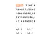初中化學新人教版九年級下冊第十單元課題1 溶液的酸堿性作業(yè)課件2025春
