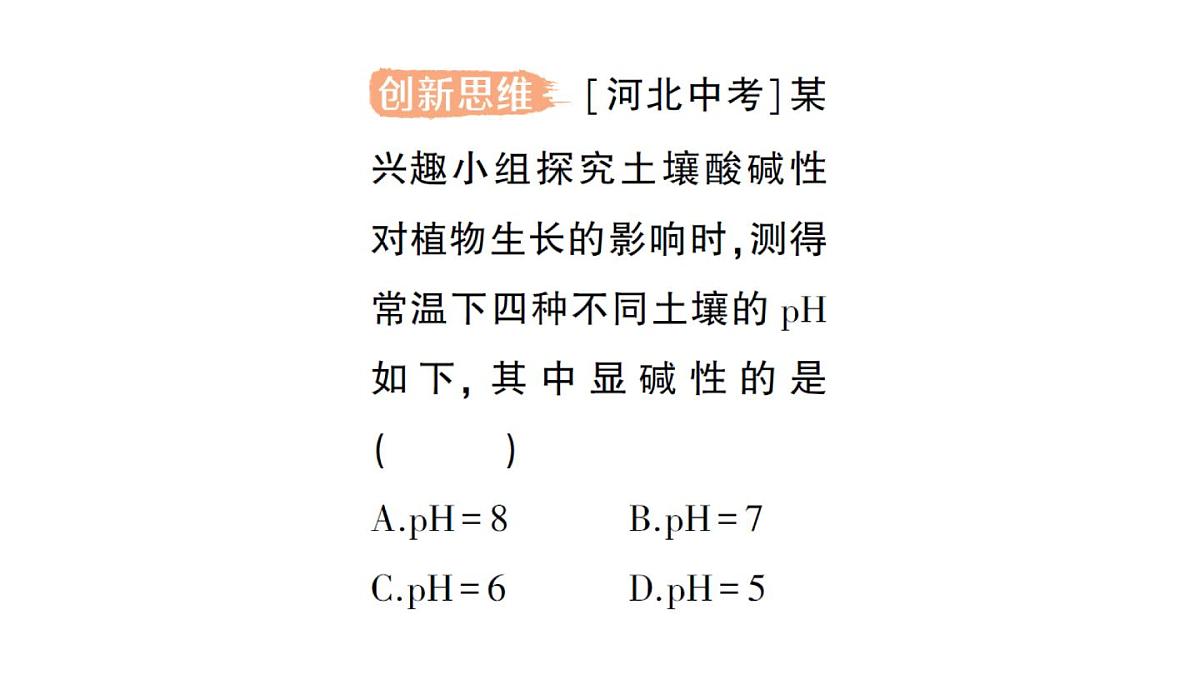 初中化学新人教版九年级下册第十单元课题1 溶液的酸碱性作业课件2025春第4页