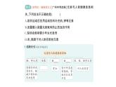 初中化學新人教版九年級下冊第十一單元課題1 化學與人體健康作業(yè)課件2025春