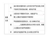 初中化學新人教版九年級下冊第十一單元課題1 化學與人體健康作業(yè)課件（2025春）