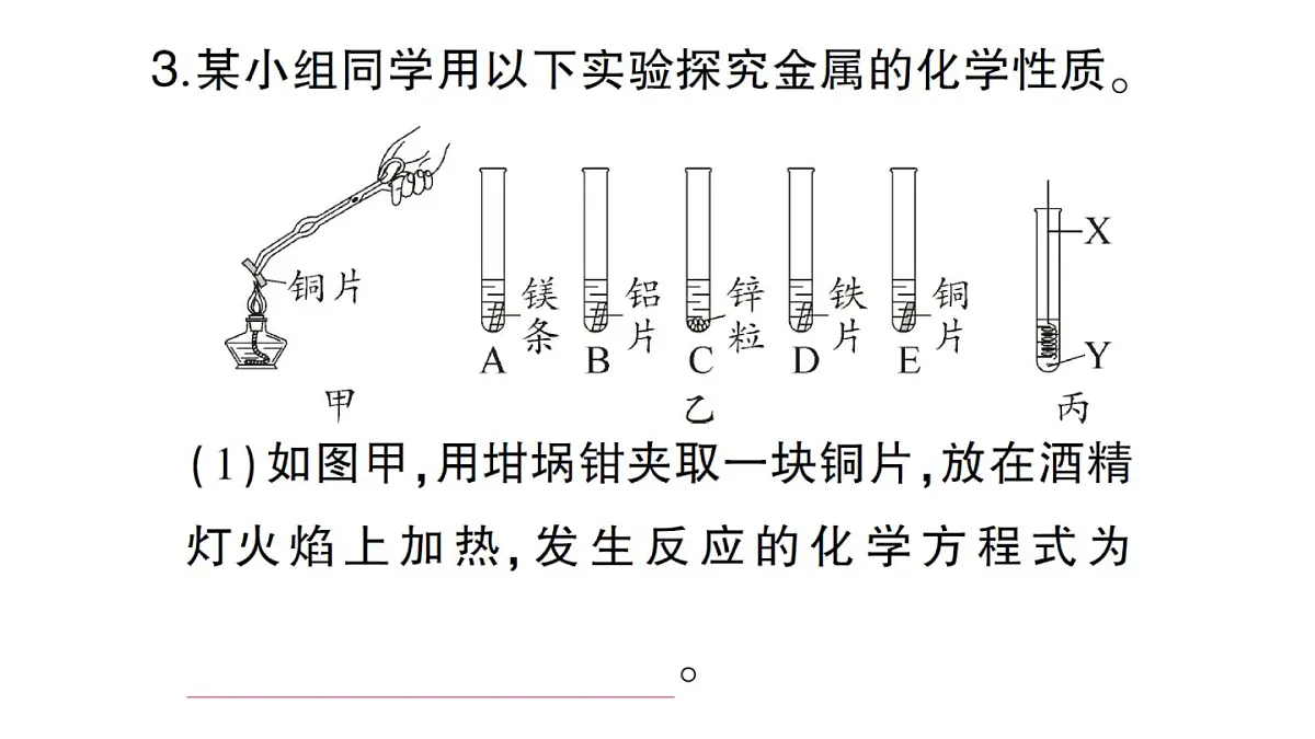 初中化学新人教版九年级下册第八单元实验活动五 常见金属的物理性质和化学性质课堂作业课件2025春第6页