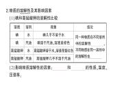初中化學(xué)新人教版九年級下冊第九單元課題1 溶液及其應(yīng)用考點練習(xí)課件2025春
