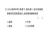 初中化學新人教版九年級下冊第十單元課題1 溶液的酸堿性課堂作業(yè)課件2025春