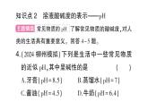初中化學新人教版九年級下冊第十單元課題1 溶液的酸堿性課堂作業(yè)課件2025春